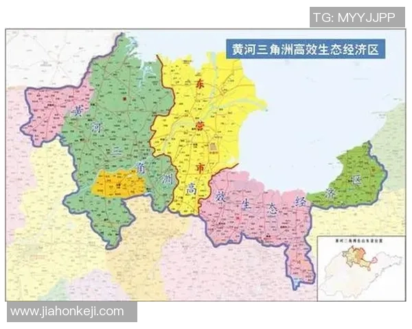 中国足球的现状与未来发展探讨及其在国际舞台上的表现分析